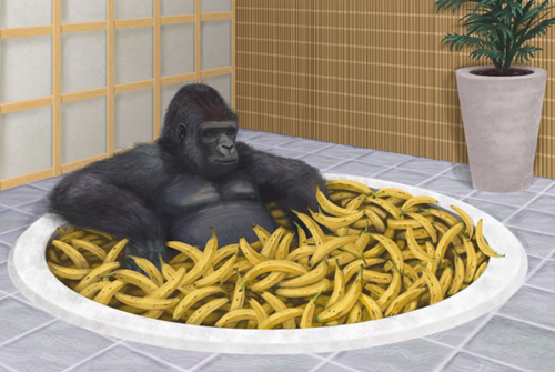 GorillaHotTub500.jpg