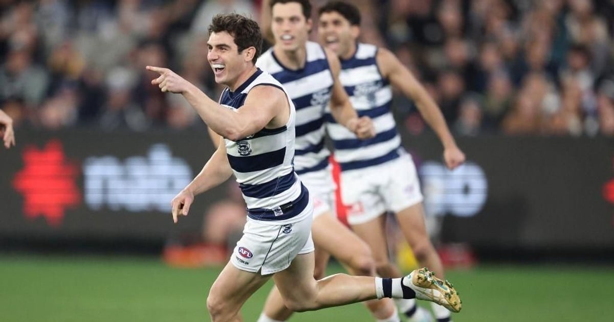 www.geelongcats.com.au