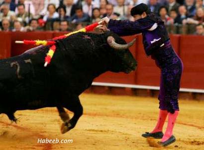 matador.bullfight.12.jpg