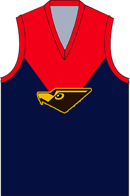 Melbourne_Hawks.png