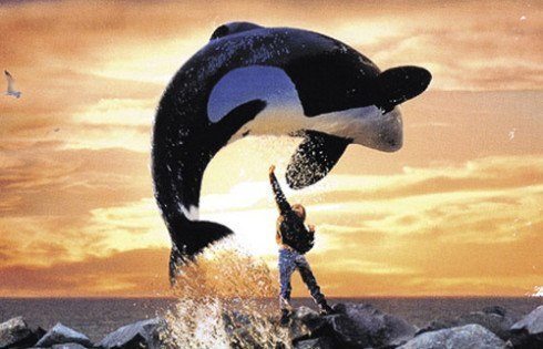 free-willy.jpg