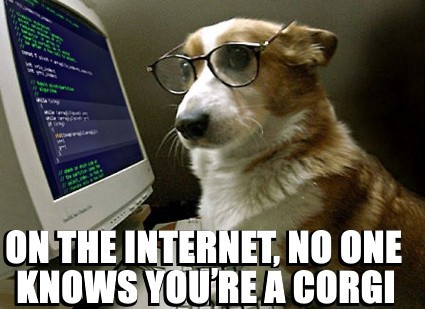 internet-corgi-jpg.1789650