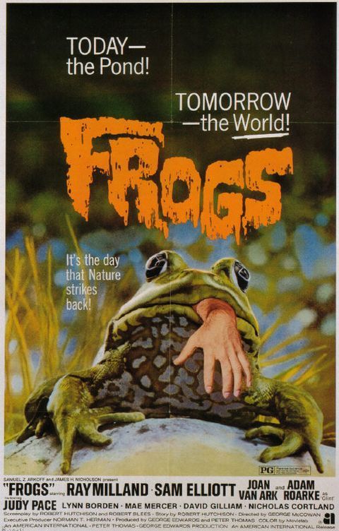 frogs+the+geek+freak.jpg