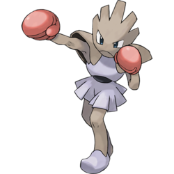 250px-107Hitmonchan.png