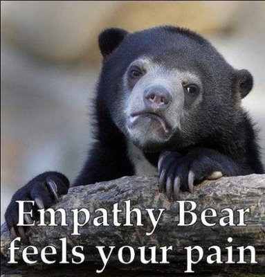 empathy+bear.jpg