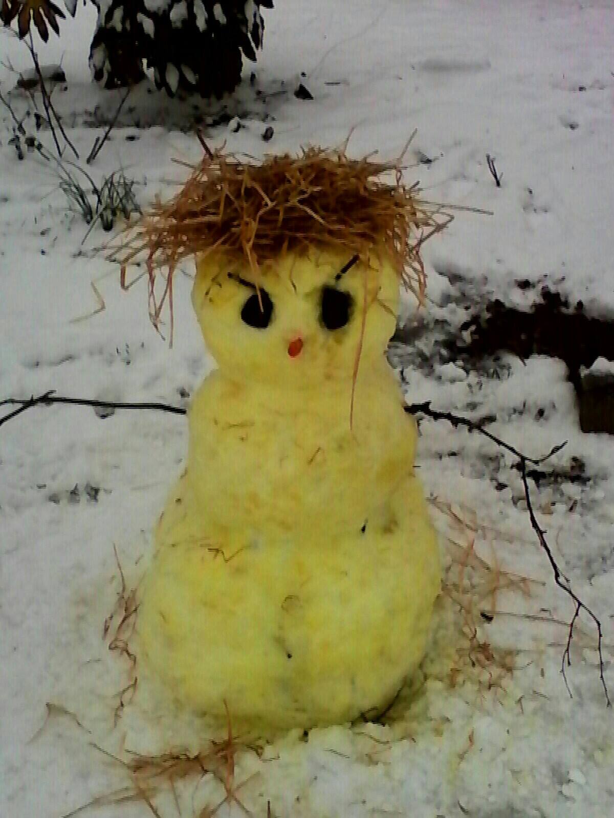 yellow-snowman-2.jpg