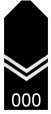 Sa-police-first-class-constable.png