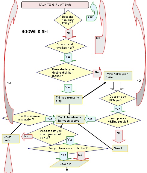 sex-flowchart-1.jpg