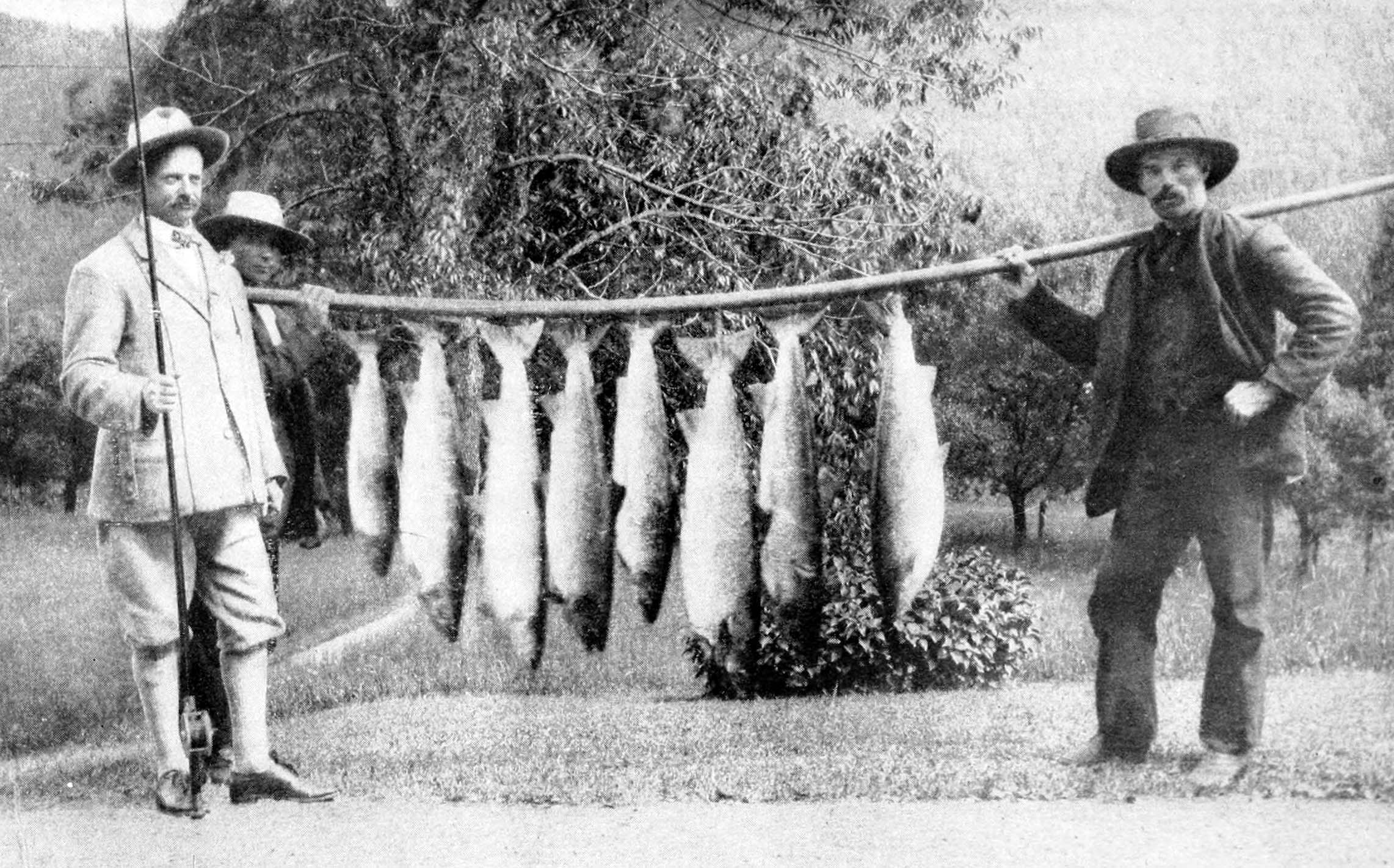 George_v_L_Meyer_with_day%27s_fish_catch_from_Restigouche.jpg