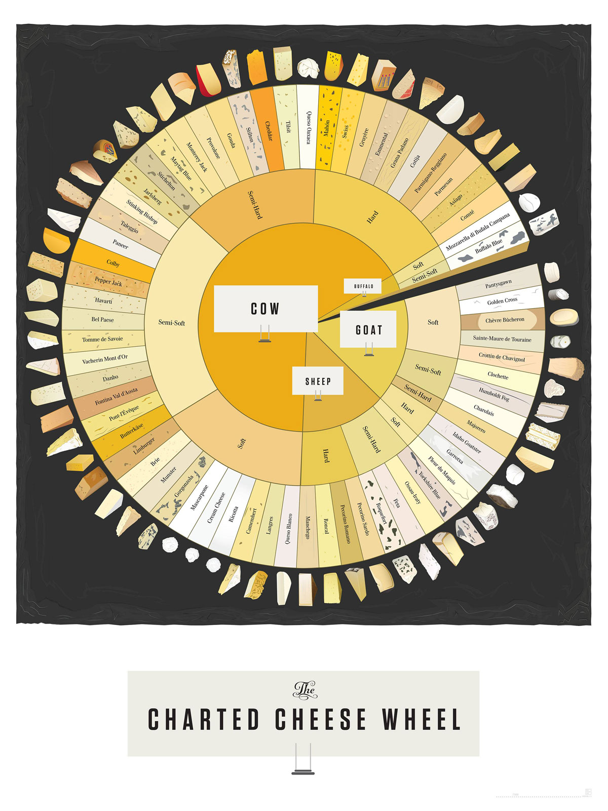 cheese-wheel-chart-for-cheese-lovers-by-pop-chart-lab.jpg